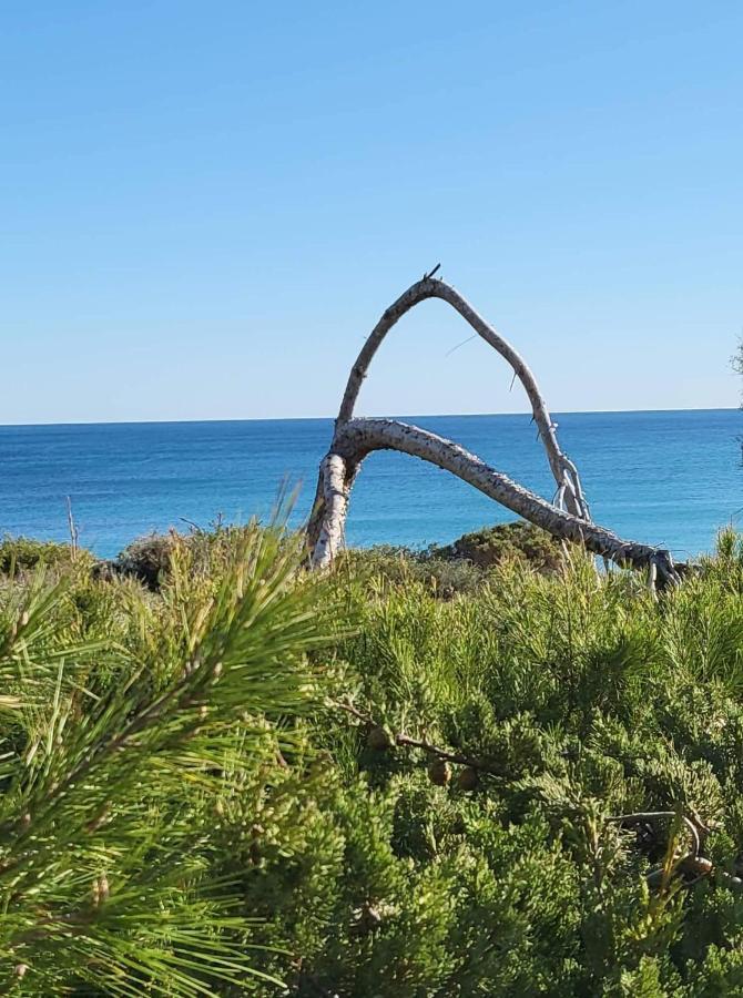 Apartamento Carlos , Lomas De Cabo Roig Area,2 Bedroom,2 Terraces,Swimming Pool Dehesa de Campoamor  エクステリア 写真